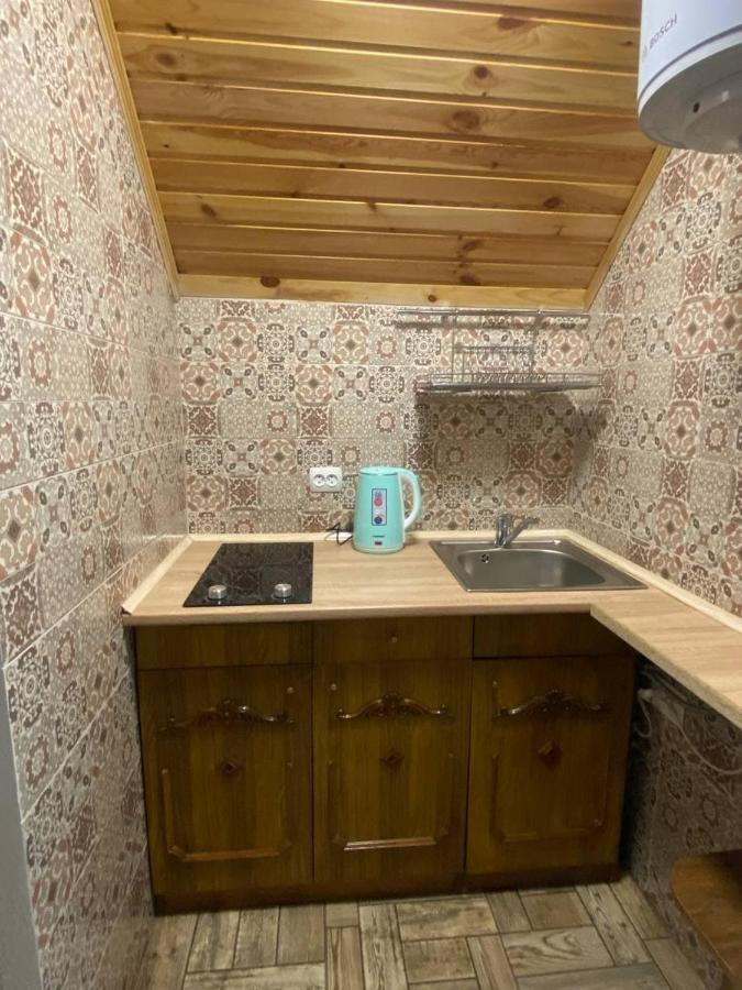 Затишок В Карпатах 1 Apartman Szlavszke Kültér fotó